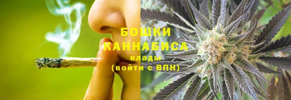 PSILOCYBIN Пролетарск