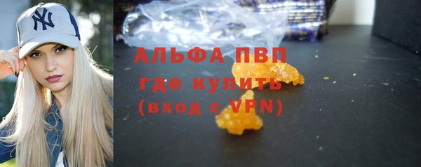 ПСИЛОЦИБИНОВЫЕ ГРИБЫ Белокуриха