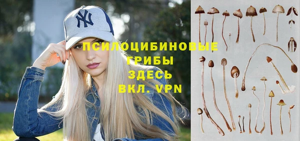 ПСИЛОЦИБИНОВЫЕ ГРИБЫ Белокуриха