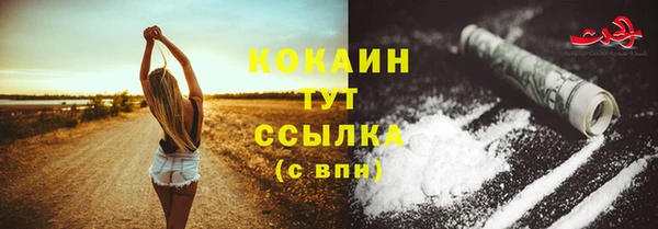 ПСИЛОЦИБИНОВЫЕ ГРИБЫ Белокуриха