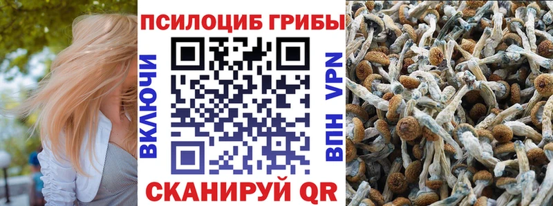 цена наркотик  Тихорецк  ОМГ ОМГ онион  Галлюциногенные грибы Magic Shrooms 