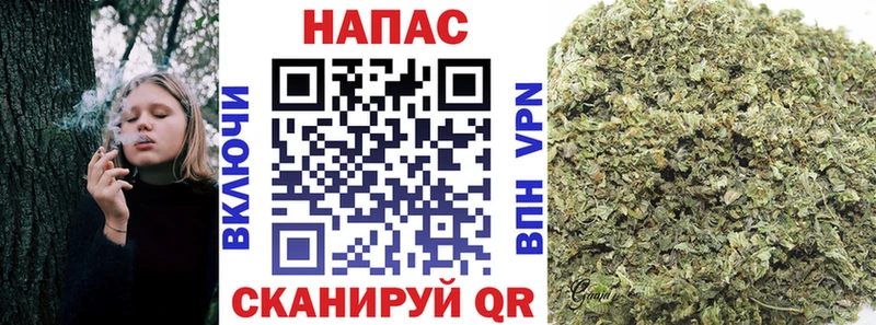 Бошки марихуана семена  кракен ссылки  Тихорецк 